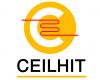 Ceilhit кабель (Испания)
